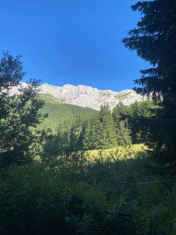 Crêtes Du Vercors Vue Magnifique Villard-de-Lans Exterior foto